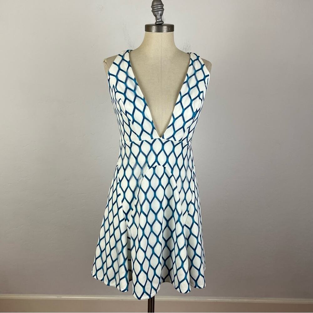 Revolve X NBD On The Fence Print Mini Dress